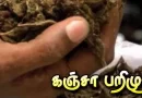 சென்டிரல் ரெயில் நிலையத்தில் 15 கிலோ கஞ்சா பறிமுதல்