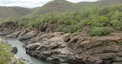 மேகதாது அணை விவகாரம்; தமிழக அரசு தொடர்ந்த வழக்கை விரைந்து முடிக்க சட்ட நடவடிக்கை-பசவராஜ்