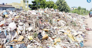 பெரம்பூர்  71வது  வார்டில்  குப்பை  குவியலால்  சுகாதார  சீர்கேடு