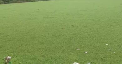 புகார்  பெட்டி  கோவில்  குளம்  சீரமைக்க  வேண்டுகோள்