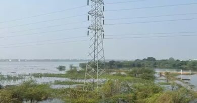 பாலவேடு  ஏரி  பசுமை பூங்காவாக  மாற்றப்படுமா?  விதி மீறல்களை  தடுக்க  நடவடிக்கை  அவசியம்