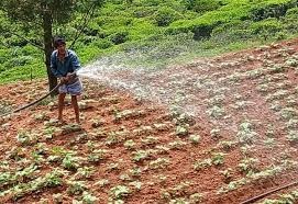 கிணறுகளில் நீர்மட்டம் குறைவு